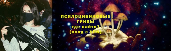 гашик Заволжье
