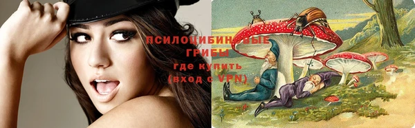 метадон Арсеньев