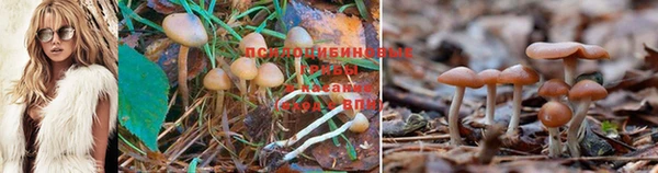прущая мука Заводоуковск
