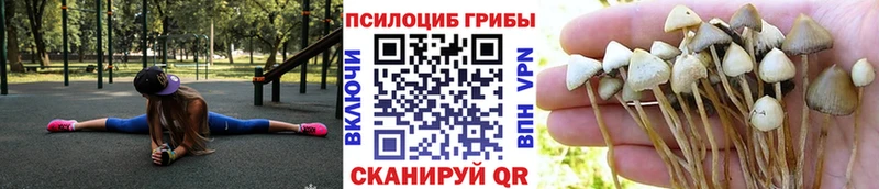 Псилоцибиновые грибы MAGIC MUSHROOMS  Сланцы 